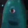 Avatar de kutma04